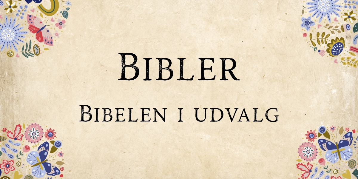 Bibelen i udvalg