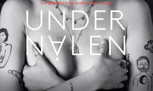 Under nålen af Tue Blædel og Tony Scott