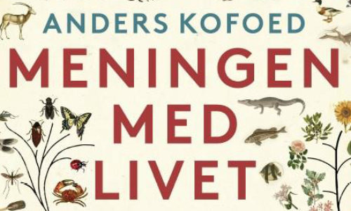 Meningen med livet af Anders Kofoed