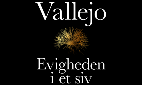 Evigheden i et siv af Irene Vallejo