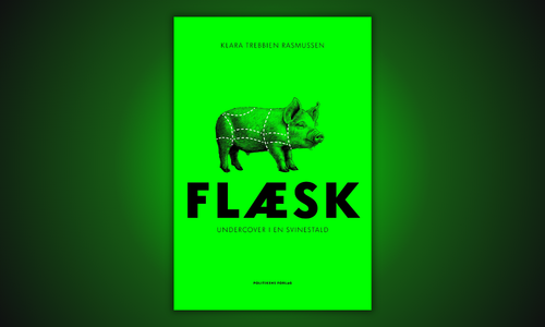 Flæsk - Undercover i en svinestald af Klara Trebbien Rasmussen