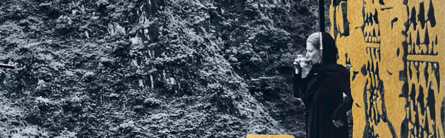 Arabica af Puk Damsgård