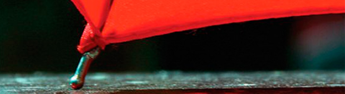 Paraplypigen - interview og anbefalinger fra en debutant