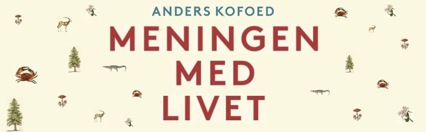 Meningen med livet af Anders Kofoed