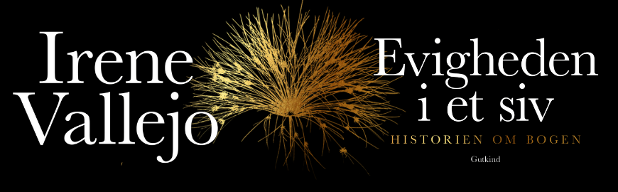 Evigheden i et siv af Irene Vallejo