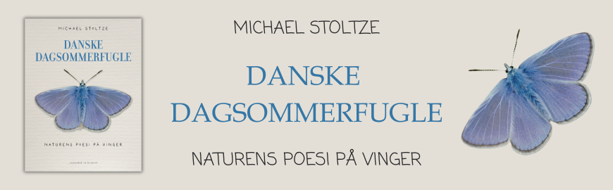 Danske dagsommerfugle af Michael Stoltze