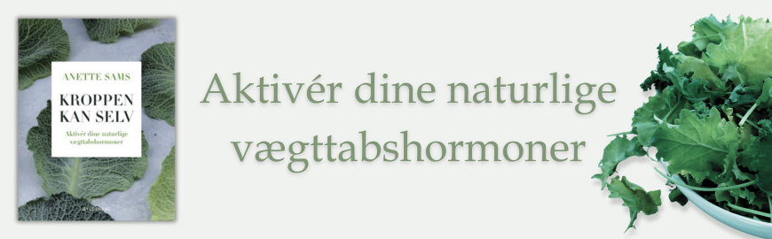 Kroppen kan selv – Aktiver dine naturlige vægttabshormoner af Anette Sams