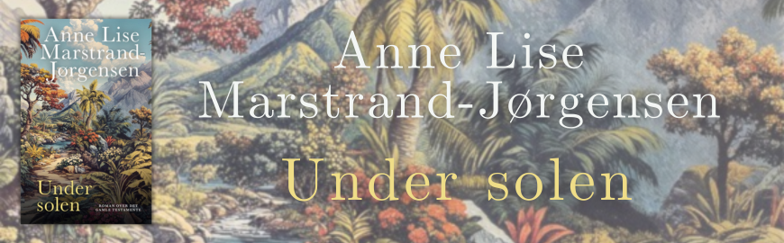 Under solen: Roman over Det Gamle Testamente af Anne Lise Marstrand-Jørgensen
