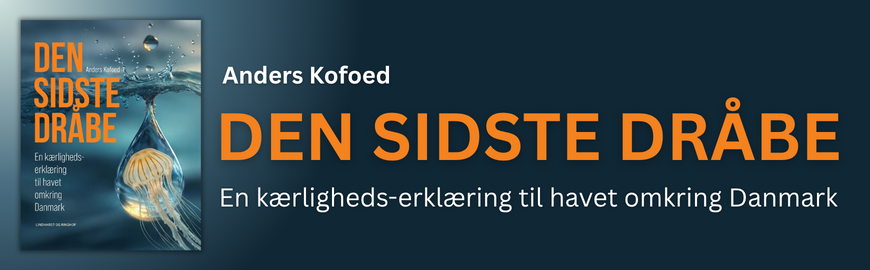 Den sidste dråbe af Anders Kofoed