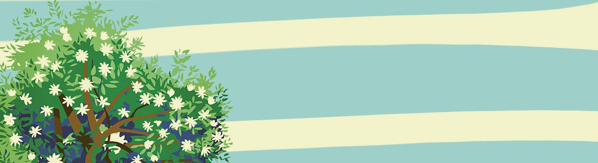 Konkurrence: Forsmag på sommeren