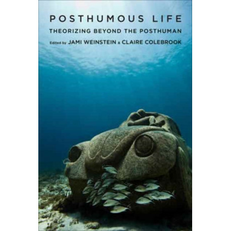 Posthumous Life: Theorizing Beyond the Posthuman