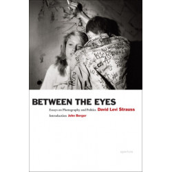 Between the Eyes: Essays on Photography and Politics