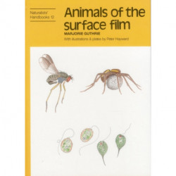 Animals of the surface film