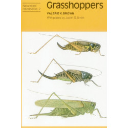 Grasshoppers