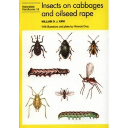 Insects on cabbages and oilseed rape
