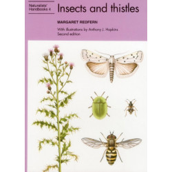Insects and thistles