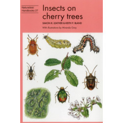 Insects on cherry trees