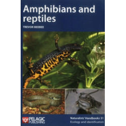 Amphibians and reptiles