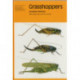 Grasshoppers