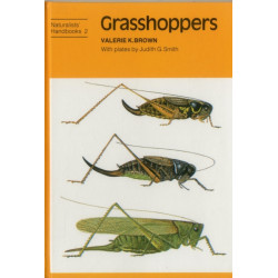 Grasshoppers