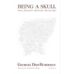 Being a Skull: Site, Contact, Thought, Sculpture