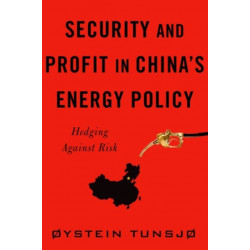 Security and Profit in China’s Energy Policy: Hedging Against Risk