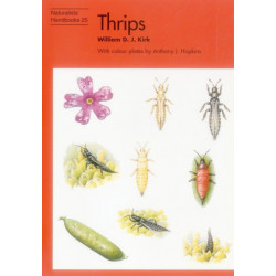 Thrips
