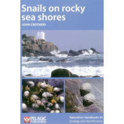 Snails on rocky sea shores