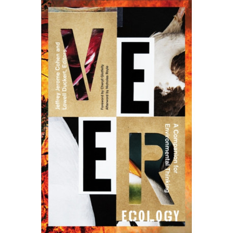 Veer Ecology: A Companion for Environmental Thinking