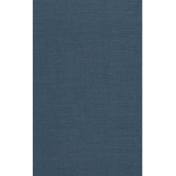 A Social and Religious History of the Jews: Late Middle Ages and Era of European Expansion (1200-1650): Citizen or Alien Conjuror