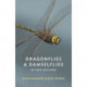 Dragonflies and Damselflies of New Zealand