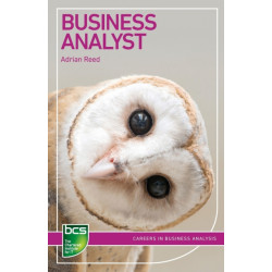 Business Analyst: Careers in business analysis