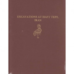 Excavations at Haft Tepe, Iran