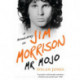 Mr Mojo: A Biography of Jim Morrison