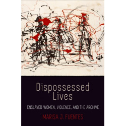 Dispossessed Lives: Enslaved Women, Violence, and the Archive