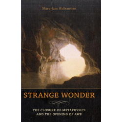 Strange Wonder: The Closure of Metaphysics and the Opening of Awe