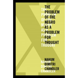 X—the Problem of the Negro As a Problem for Thought