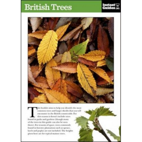 British Trees: The Instant Guide