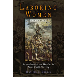 Laboring Women: Reproduction and Gender in New World Slavery