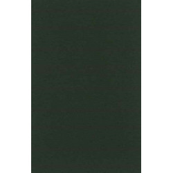 The Junius Manuscript