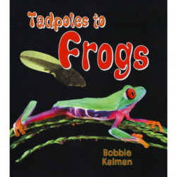 Tadpoles to Frogs