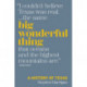 Big Wonderful Thing: A History of Texas