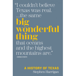 Big Wonderful Thing: A History of Texas