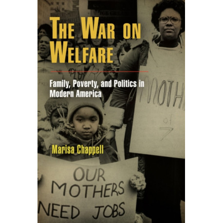The War on Welfare: Family, Poverty, and Politics in Modern America