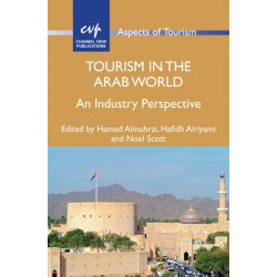 Tourism in the Arab World: An Industry Perspective