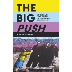 The Big Push: Exposing and Challenging the Persistence of Patriarchy