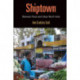 Shiptown: Between Rural and Urban North India