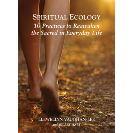 Spiritual Ecology