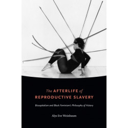 The Afterlife of Reproductive Slavery: Biocapitalism and Black Feminism's Philosophy of History