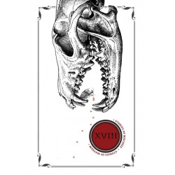 Eighteen: Stories of Mischief & Mayhem: Underland Tarot, -2